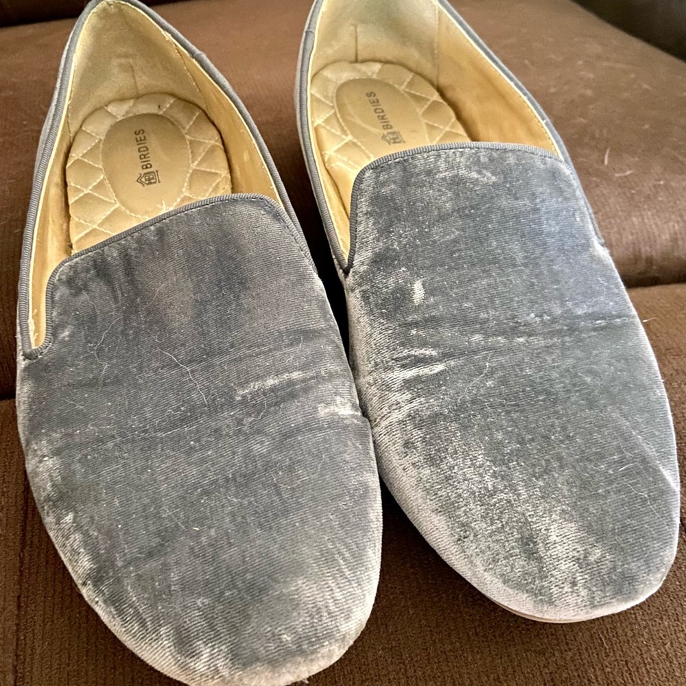 Grey/ Silver Birdies Starling